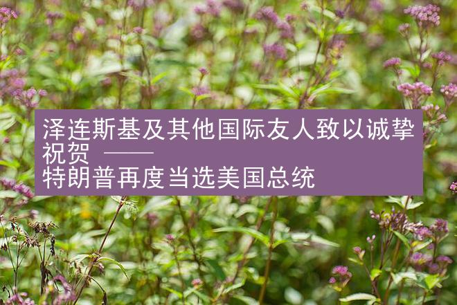 泽连斯基及其他国际友人致以诚挚祝贺 —— 特朗普再度当选美国总统