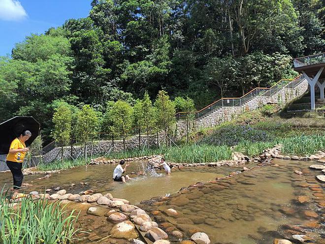 全红婵归队：首要任务减重之旅的蜕变与突破